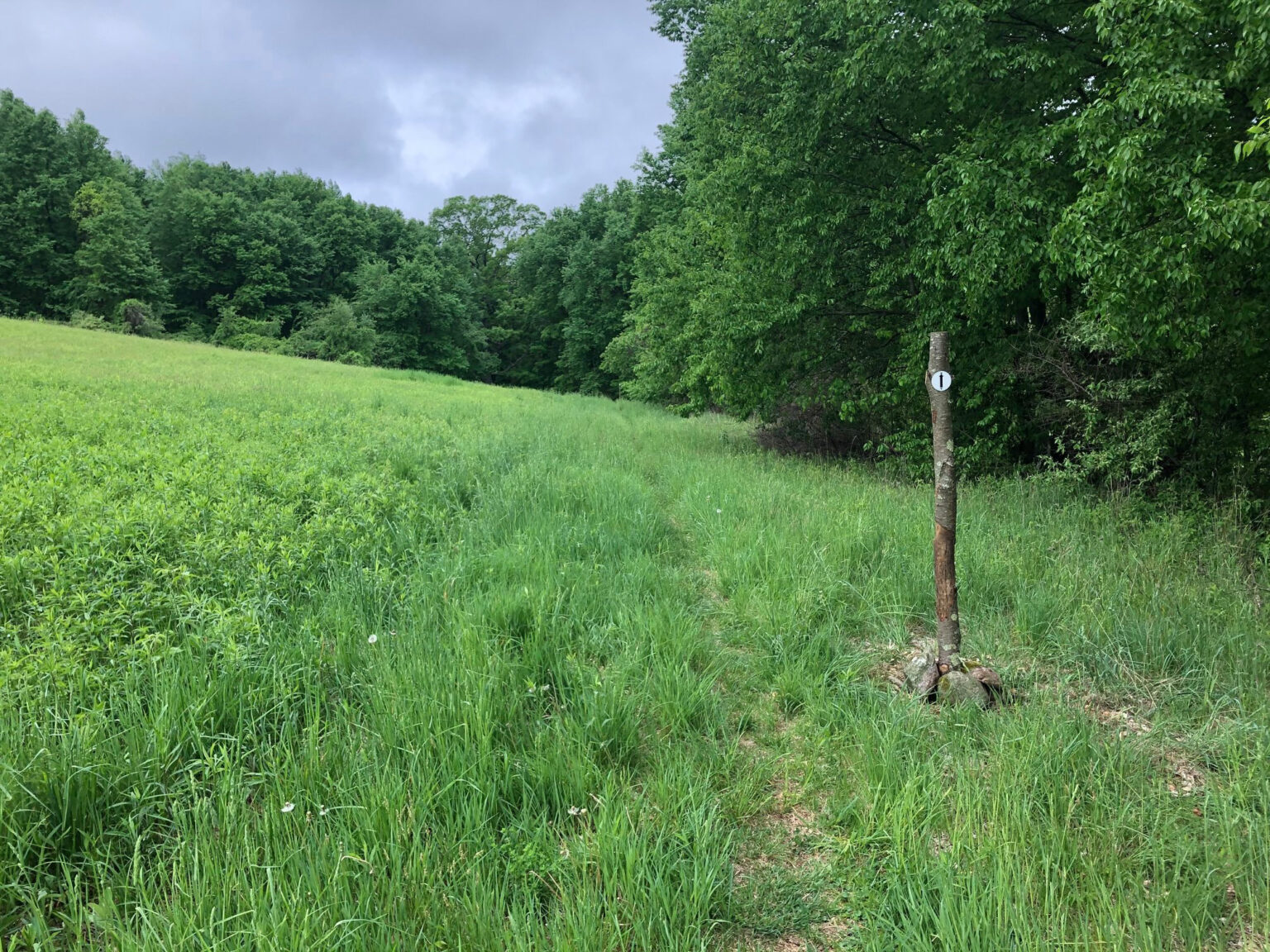 Mary Moore Preserve - Sharon Land Trust